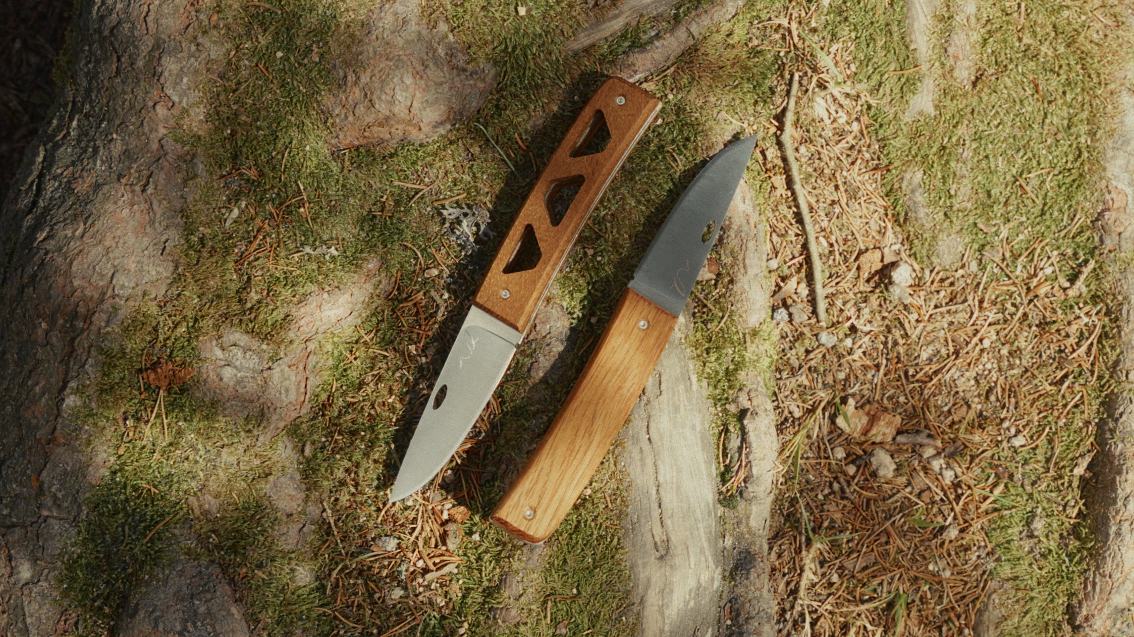 couteau pliant avec manche en bois dans la nature