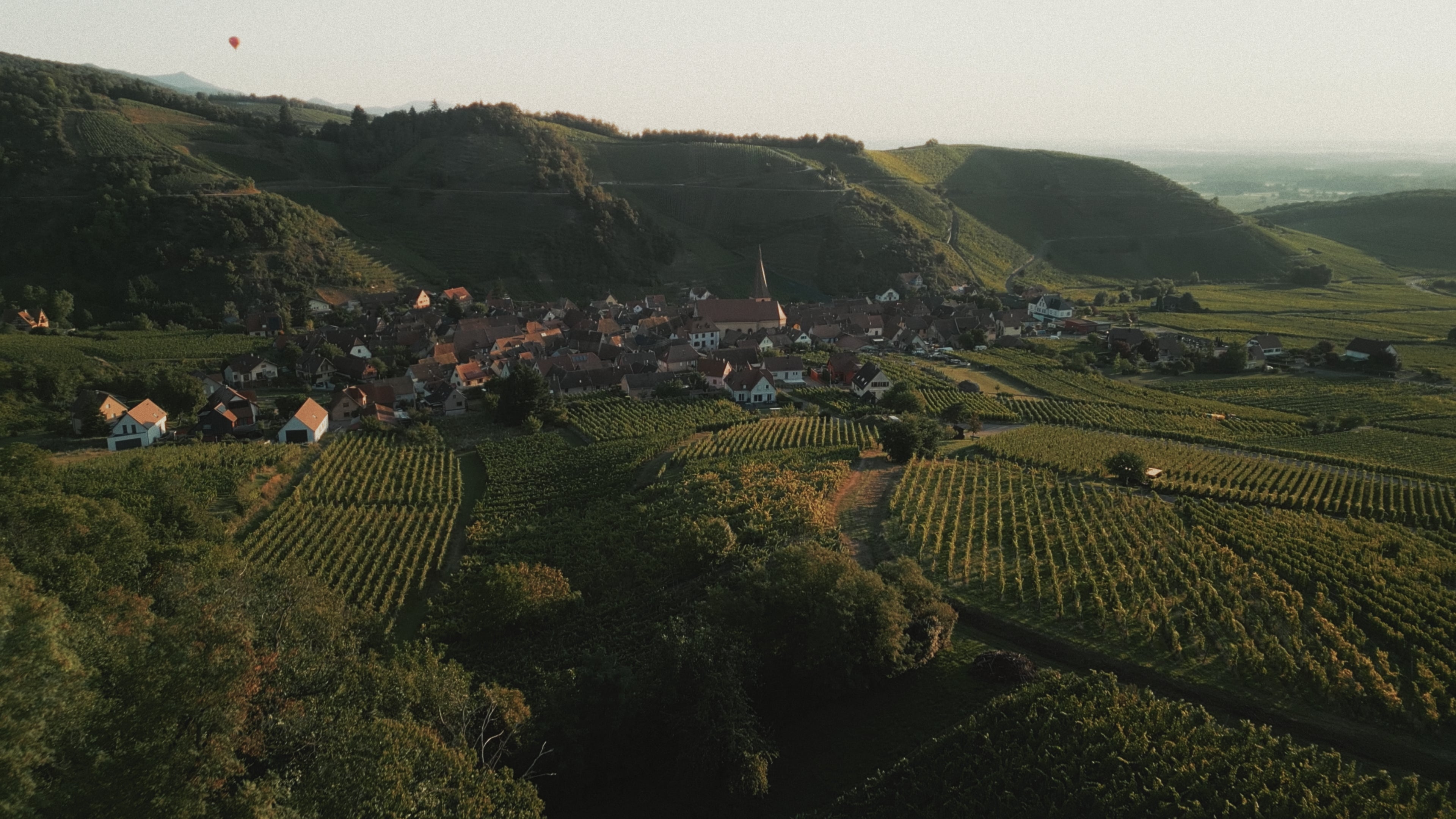vue du paysage alsacien 